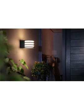 Lucca wall lantern anthracite 1x9.5W 230V